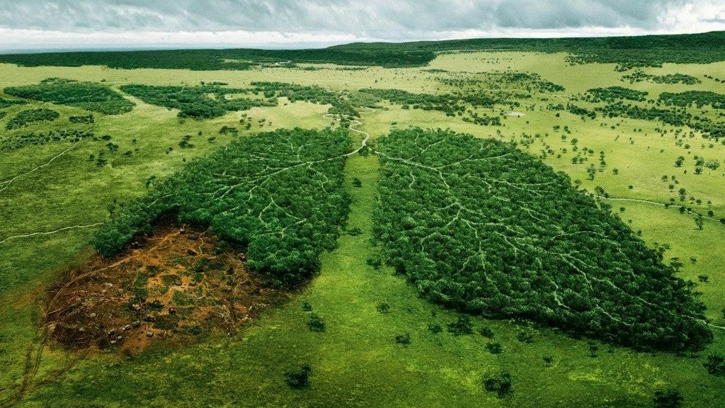 Sürdürülebilirlik ve Çevre